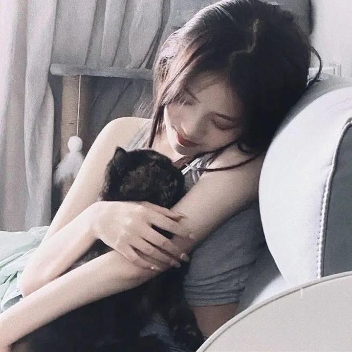 萌犬好声音2