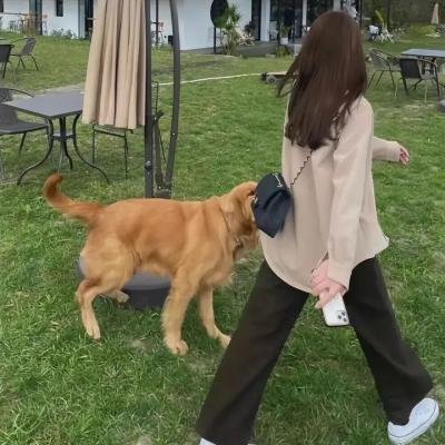 和歌子酒第二季