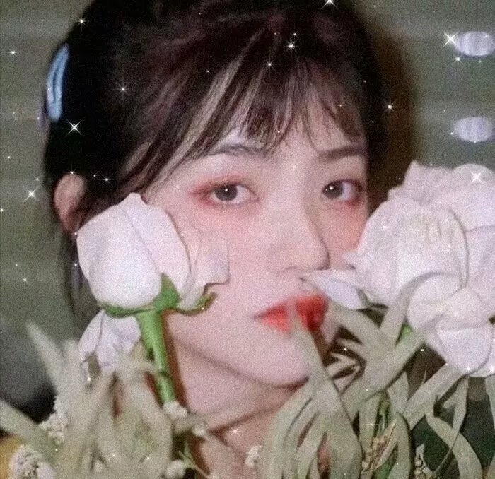 黛丝姑娘